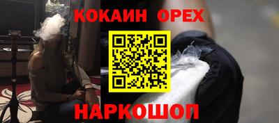 спиды Гай