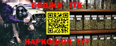 спиды Гай