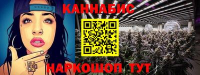 спиды Гай