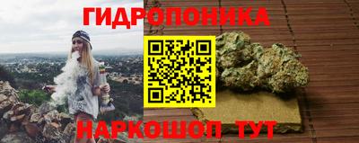 спиды Гай