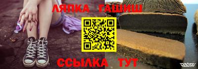 спиды Гай