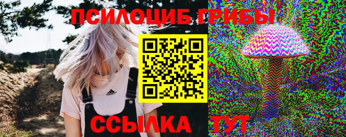 где купить наркотик  Галлюциногенные грибы Psilocybine cubensis  Вход с VPN  Бахчисарай 